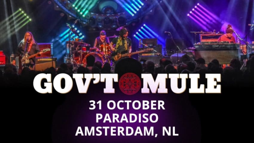 Gov't Mule Amsterdam Crop