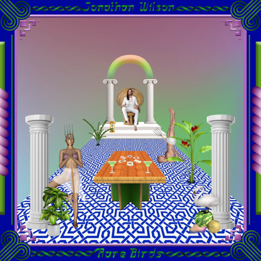 Rare Birds Cover
