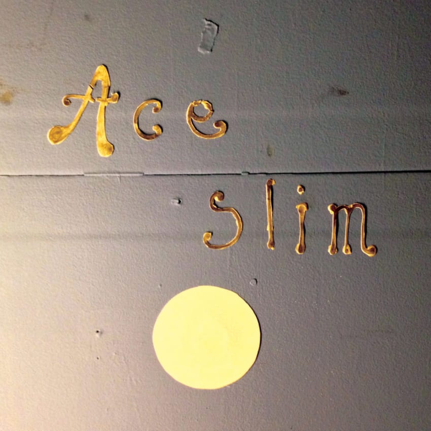 Ace Slim Cover