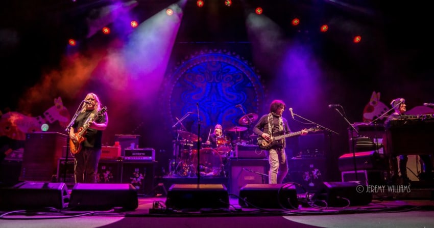 Gov't Mule J Williams Crop 2