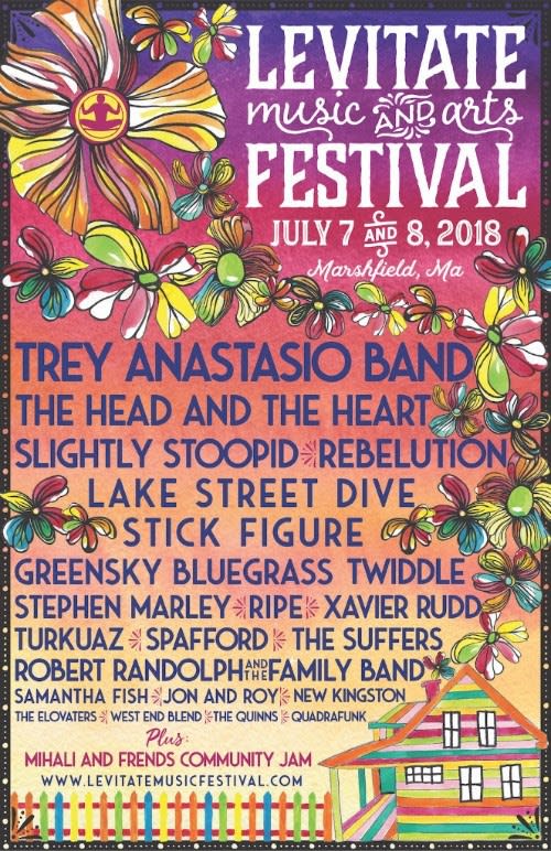 levitate final lineup 2018 admat