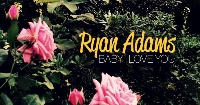 Baby I Love You Crop