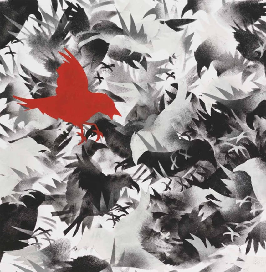 Birds of America Cover