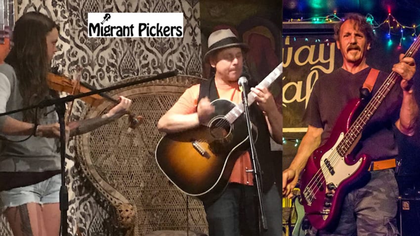 Migrant Pickers