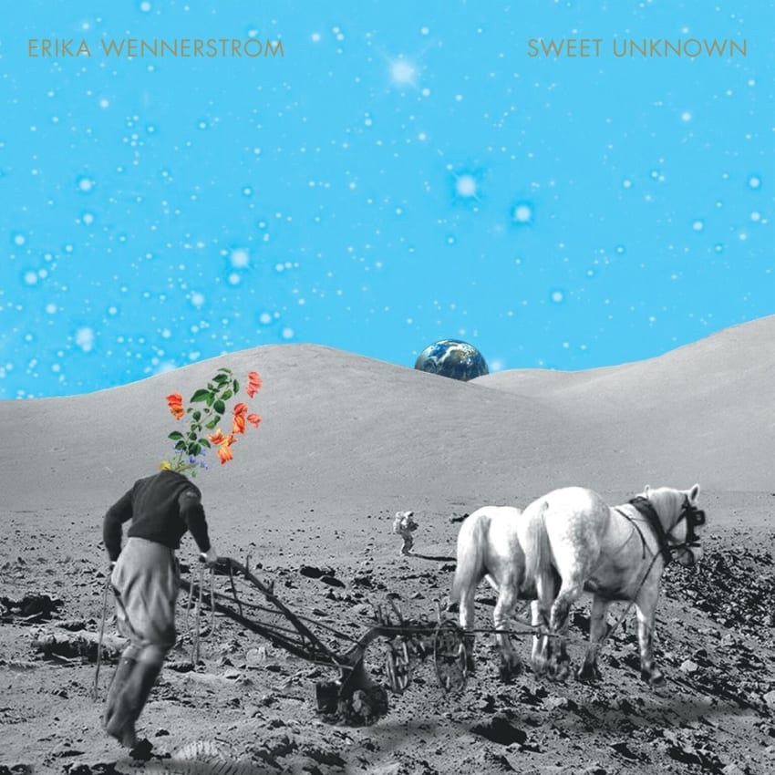 Sweet Unknown Cover