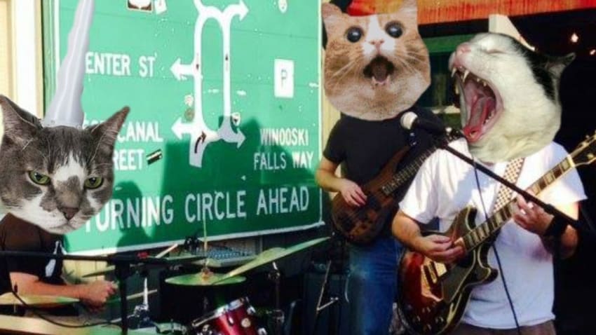 Thunder Kittens