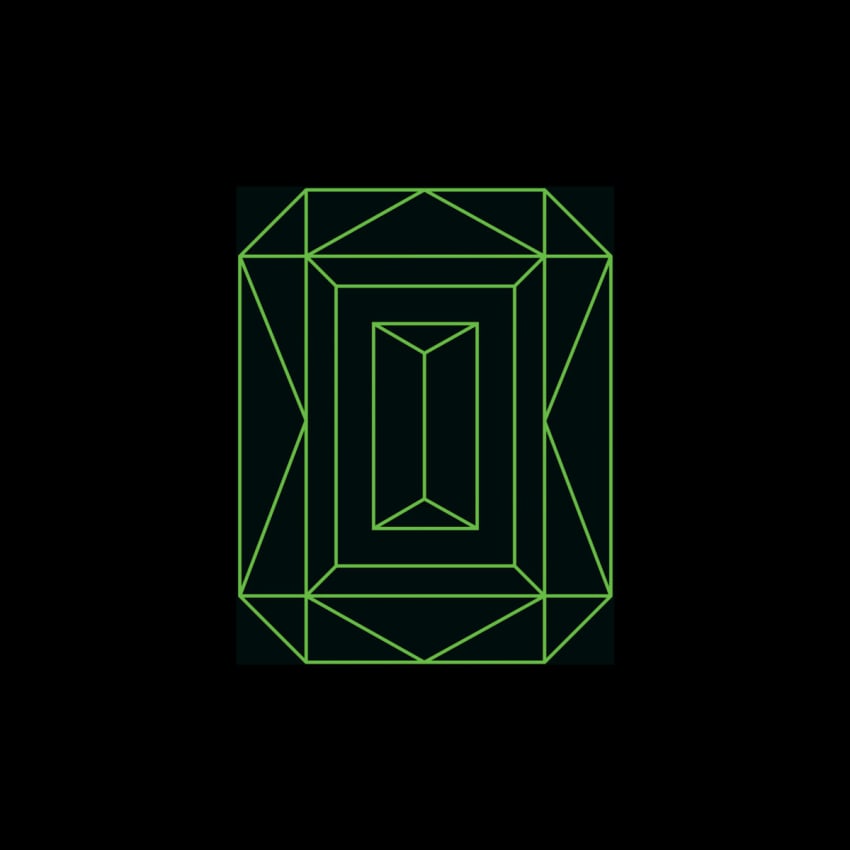 Vide Noir Cover