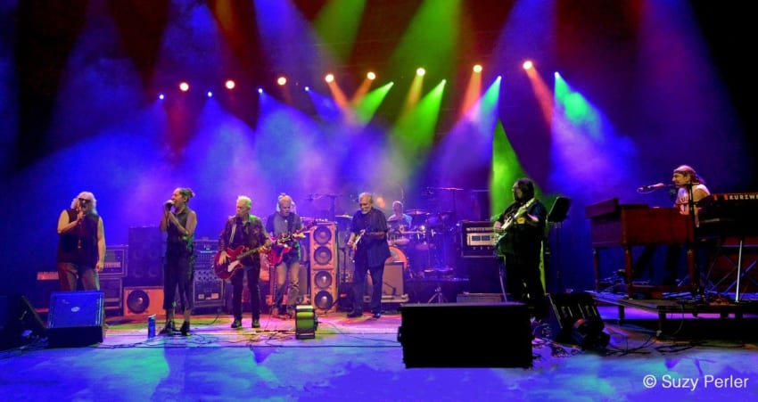 DSO Jubilee 2018 Crop Perler