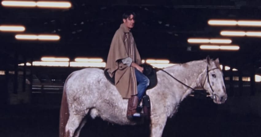 Malkmus Sparkle Horse Screengrab Crop