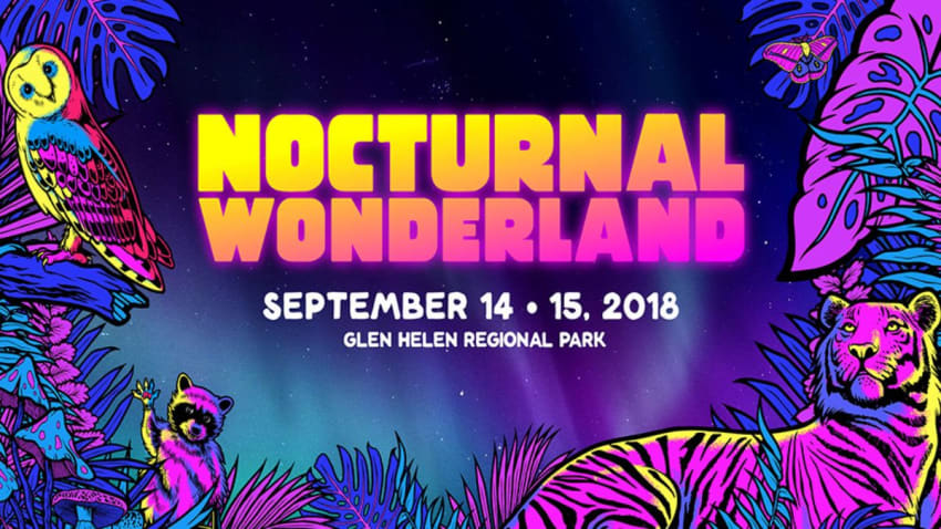 Nocturnal Wonderland