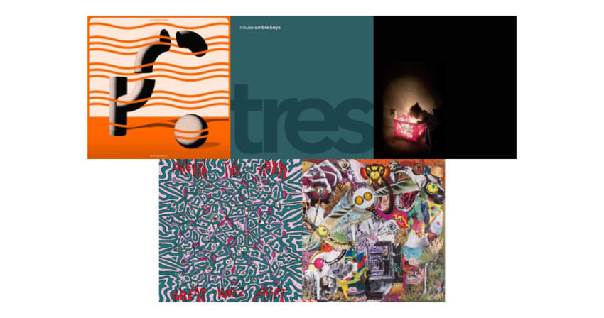 Animals Neds Albums