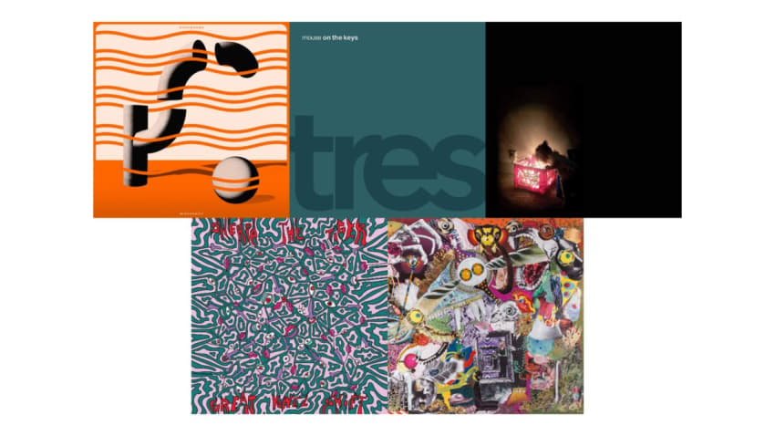 Music Menagerie Edition: Hookworms, Mouse on the Keys, The Moondoggies, Sherpa the Tiger & Giraffes? Giraffes!