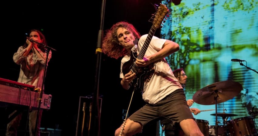 King Gizzard Blackstein Crop 1