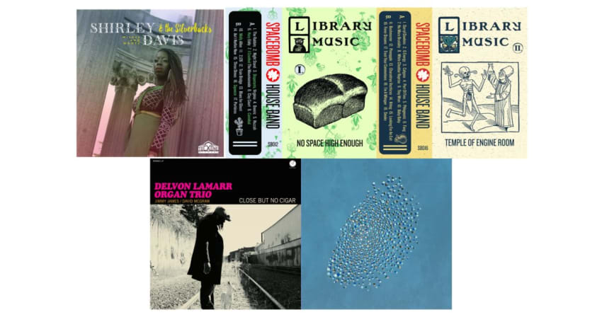 Hot Funk Neds Albums