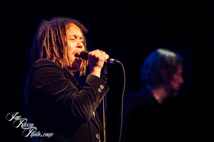 Joe Hogg Joe Russo Magpie Fullsize