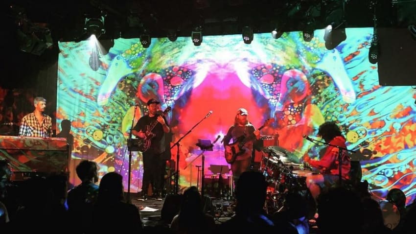 Rooster Conspiracy Makes San Francisco Debut