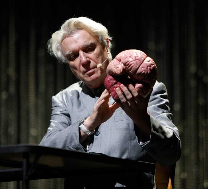 davidbyrne13