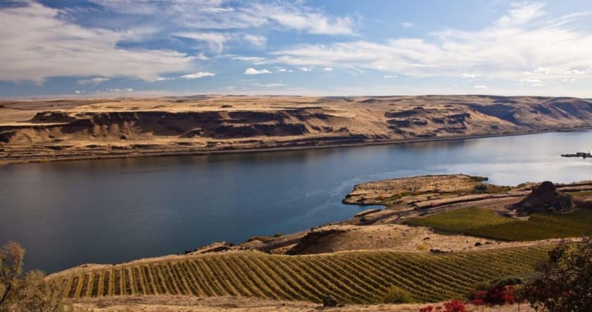 Gorge Benefit Crop