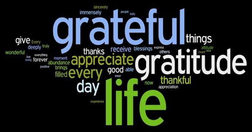 Gratitude Glory