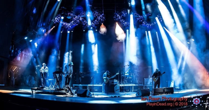 Lettuce Lockn Rawn Crop 1