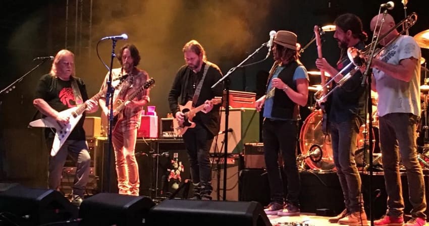 Magpie Mule TN IG Crop