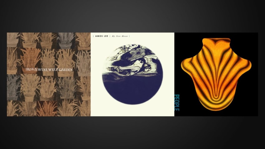 Release Date August 31 Albums