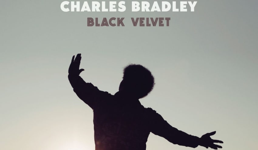 Black Velvet Crop