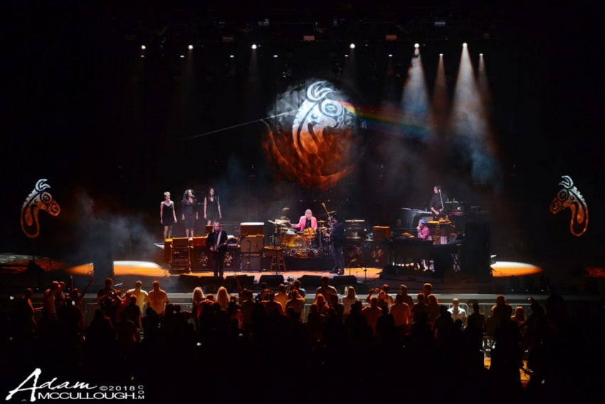 Dark Side Of The Mule Crop McCullough