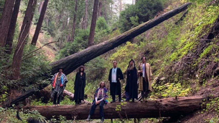Farmer Dave & The Wizards of the West