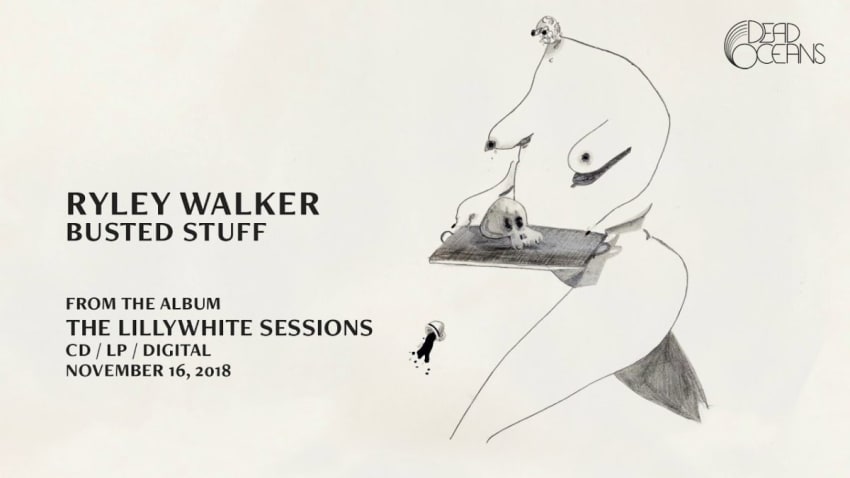 ryleywalkerbustedstuff