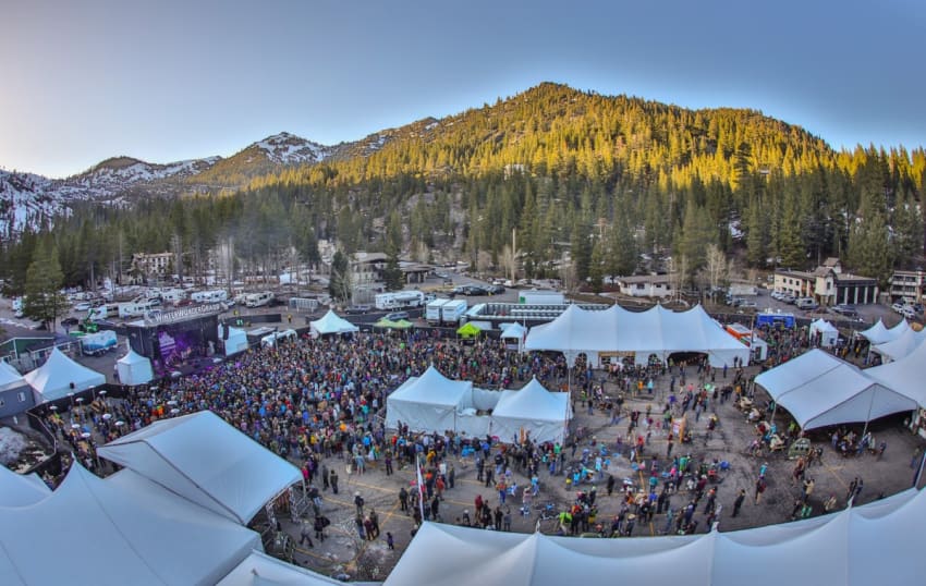 winterwondergrass-cali-2019-glory
