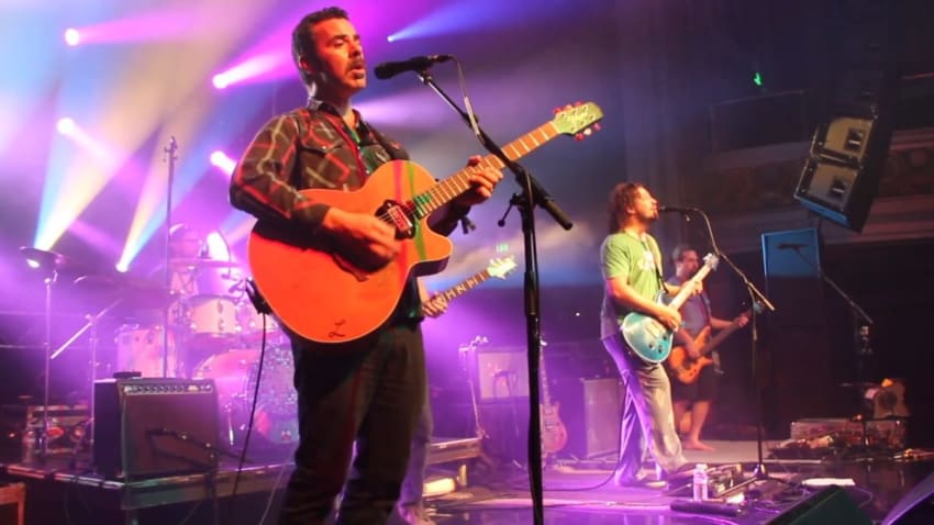 Pigeons Playing Ping Pong Perform With Lebo: Pro-Shot Video