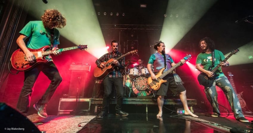 Pigeons Playing Ping Pong San Francisco Lebo Blakesberg Crop