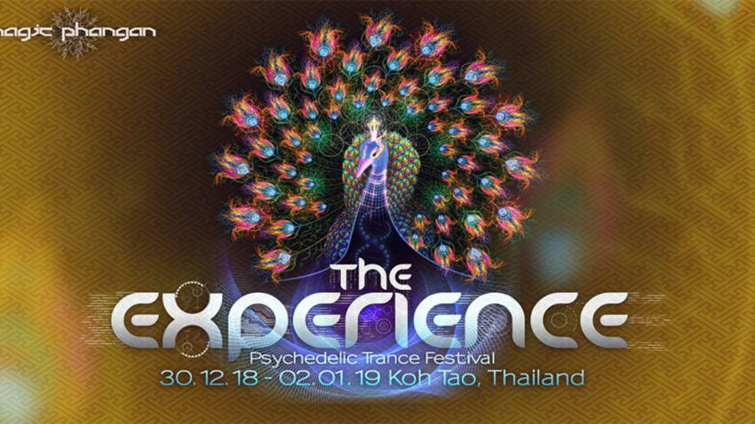 The Experience Festival