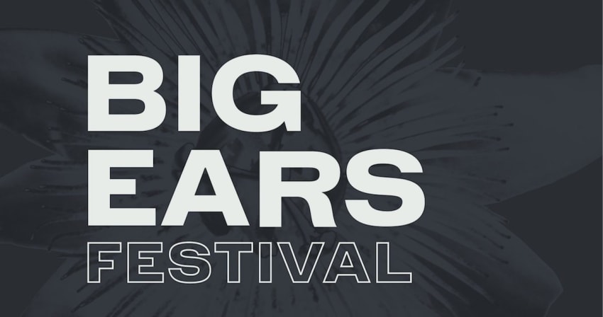 BigEarsFestival-1