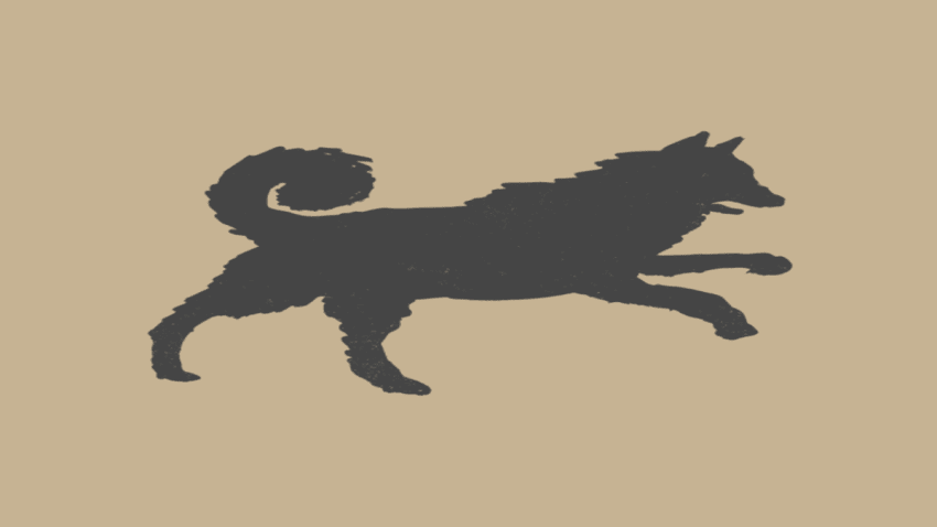 Elkhound