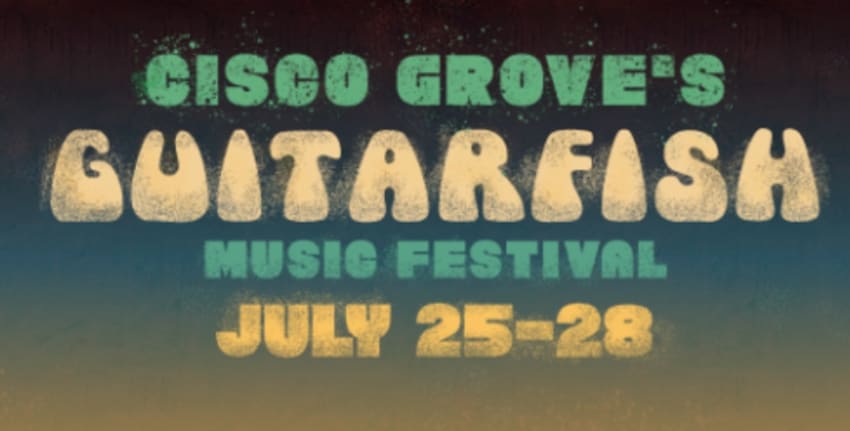 Guitarfish 2019