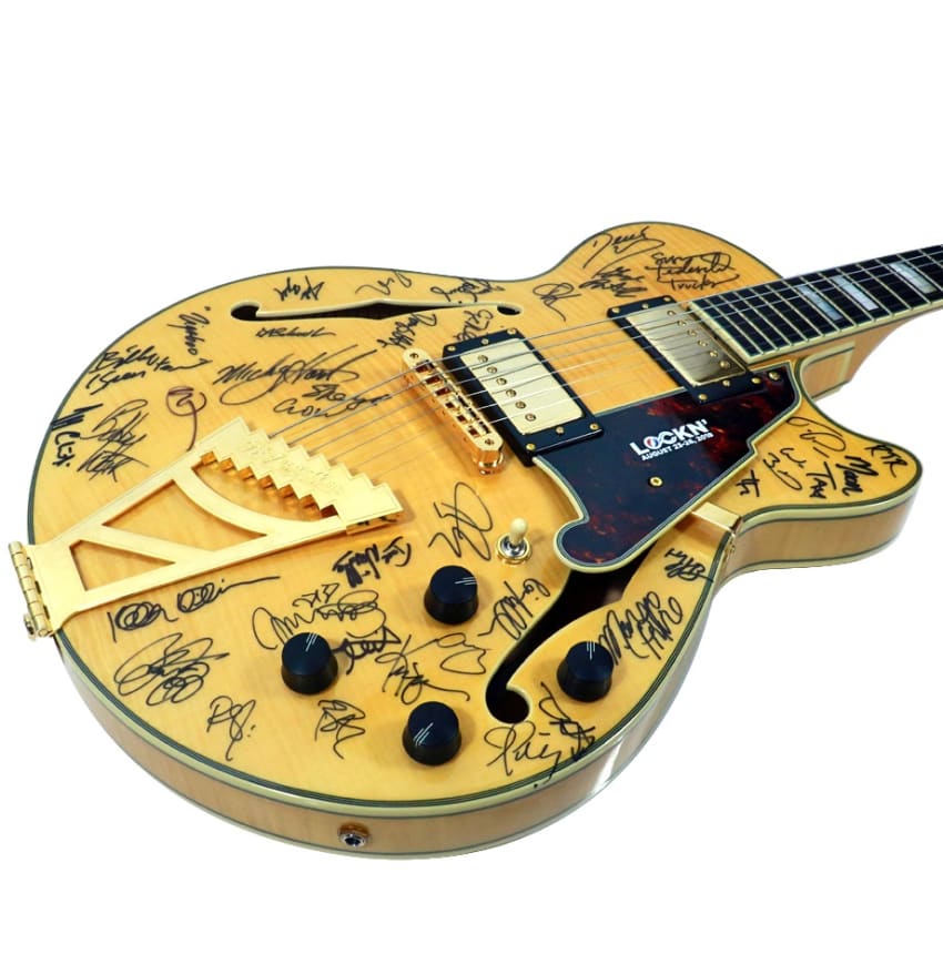 HeadCount 2018 Holiday Auction Lockn Guitar