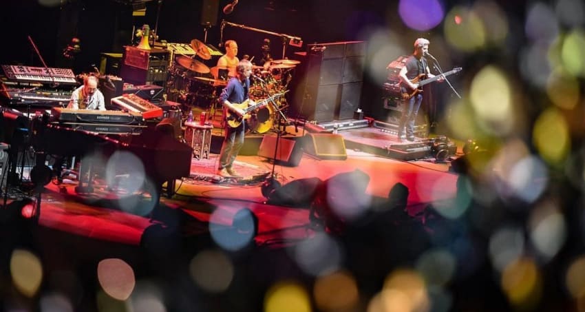 Phish Meat Tweezer Videos