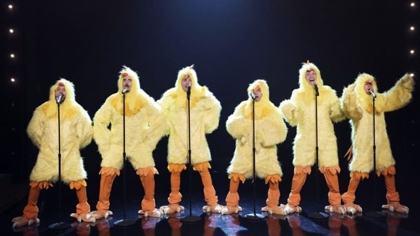 Backstreet Boys Chickens
