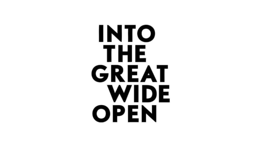 Into The Great Wide Open