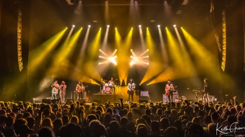 Pigeons Playing Ping Pong Present New Year's ‘stEVE’ Concert In Pittsburgh