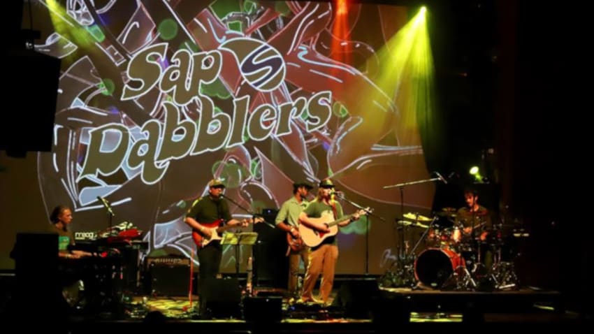 Sap Dabblers