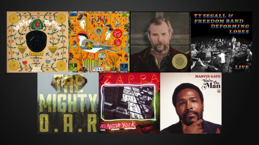 White Denim Earle Bluhm Seagall Oar Zappa Gaye