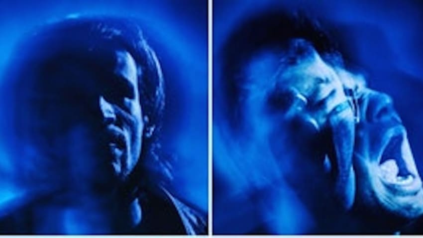 The Wild Blue
