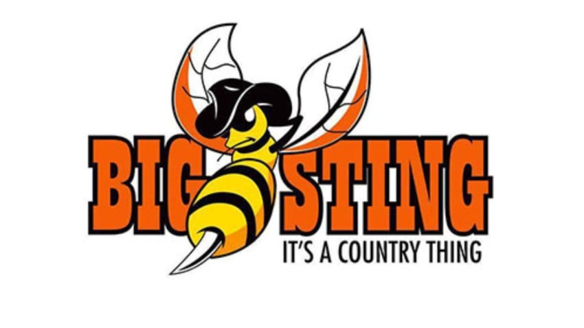 The Big Sting