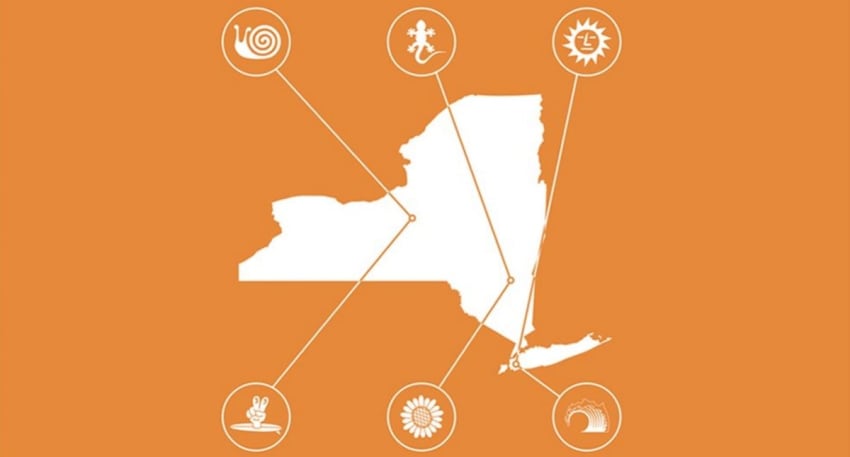 Vampire Weekend New York State Tour
