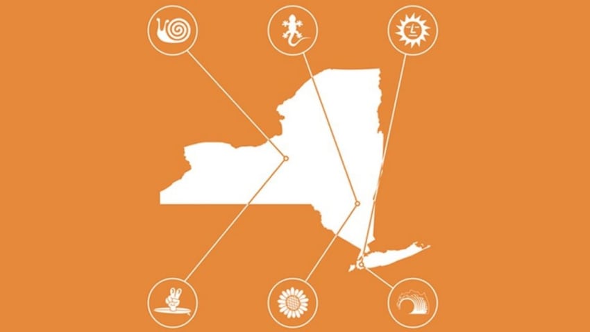 Vampire Weekend's New York State Tour Includes Album Release Party In New York City