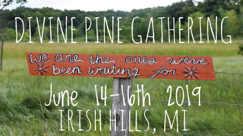 Divine Pine Gathering
