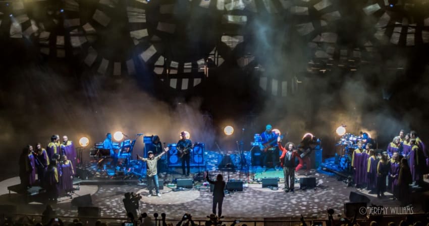 Twiddle Pigeons Playing Ping Pong Kitchen Dwellers Red Rocks 2019 Williams